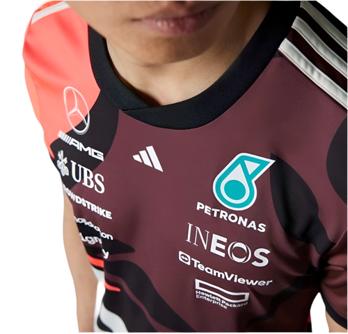 Men's replica t-shirt close-up: PETRONAS logo and INEOS team sponsor print